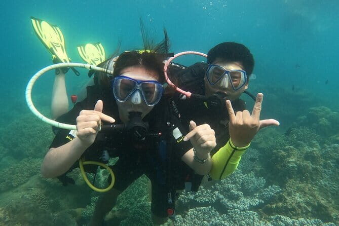 Experience Nha Trang Scuba Diving with Certified Dive - An In-Depth Look at What to Expect