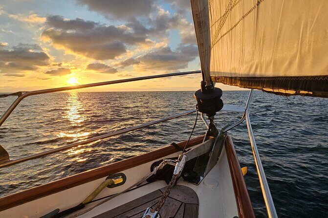 Experience Oceanside Sailing with Whales and dolphins! - Experience Oceanside Sailing with Whales and Dolphins: An In-Depth Review