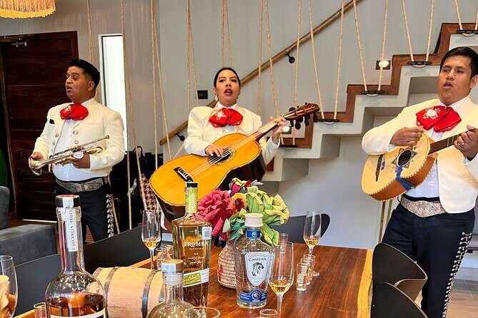 Experience of Tequila and Mezcal - Introduction