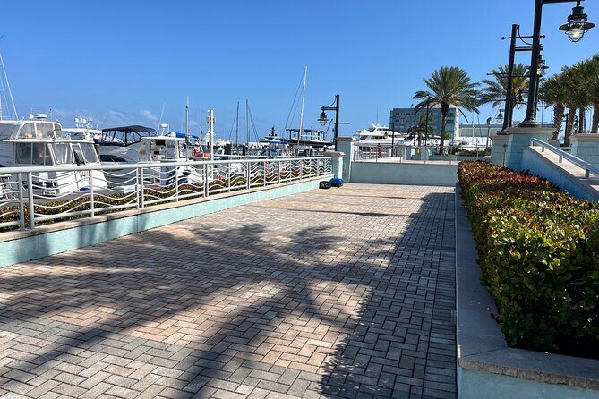 Experience Peanut Island Adventures with Go Pro - Who Is This Tour Best For?