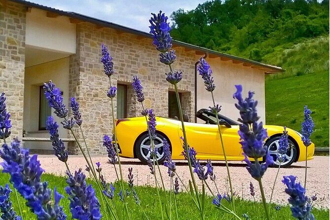 Experience PLUS program - FAQ