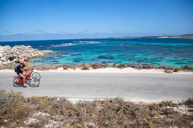 Experience Rottnest with Ferry & Bike Hire - FAQ