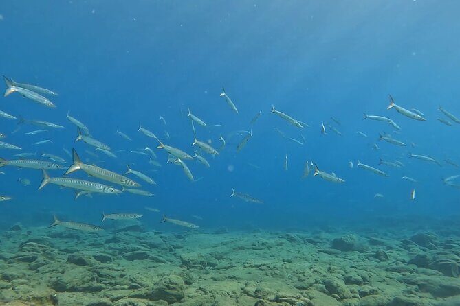 Experience Scuba Diving in Heraklion Crete - Final Thoughts