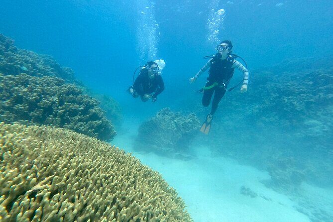 Experience Scuba Diving - No Certification Needed! - Practicalities and Considerations