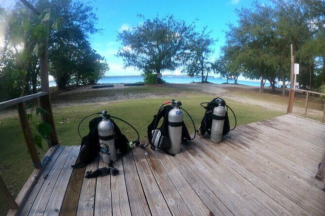Experience Scuba Diving - No Certification Needed! - Who Will Love This Tour?