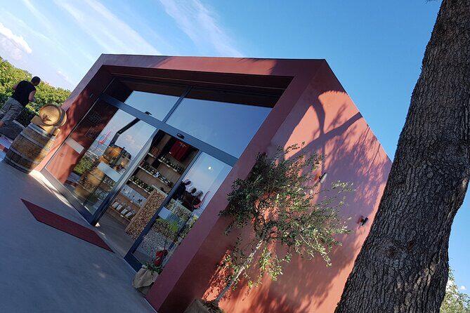 Experience Slovenian Coast line with Wine Tasting from Trieste - FAQ