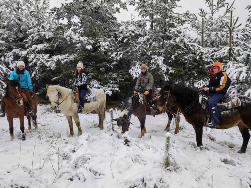 Experience Sofia - nature, history, horse riding and SPA - Horseback Riding: Wild Trails & Peaceful Moments