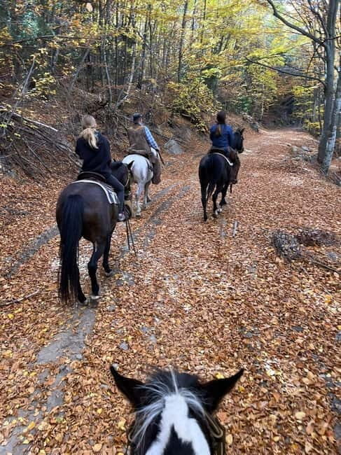 Experience Sofia - nature, history, horse riding and SPA - Practical Details & Tips