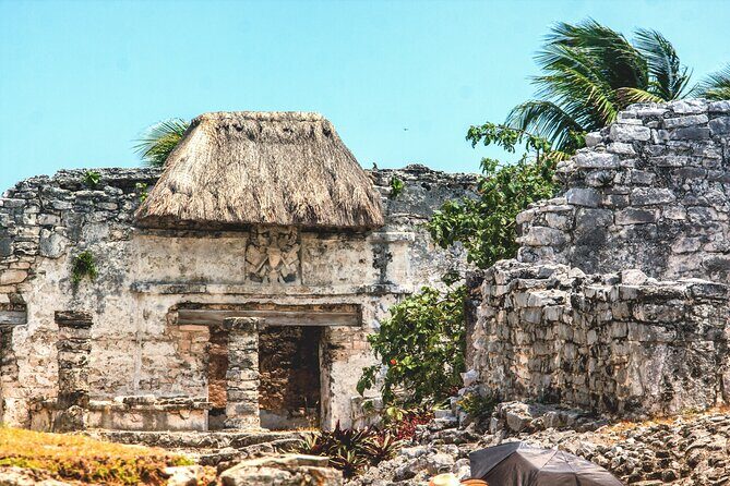EXPERIENCE SWIMMING with the TURTLES and Discover the amazing Tulum Ruins tours. - Logistics and Practicalities