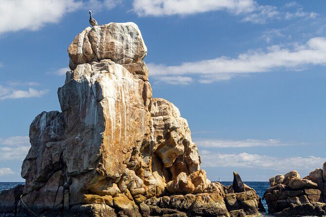 Experience the Clear Boat adventure & Cabo San Lucas City Tour - Final Thoughts