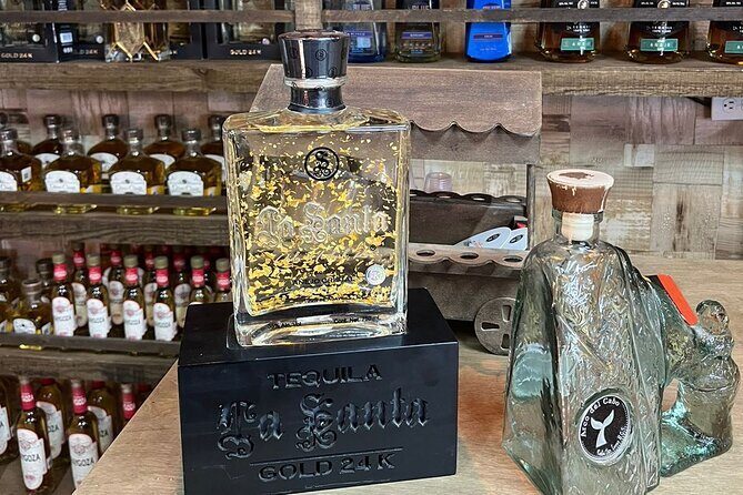 Experience the Clear Boat adventure & Cabo San Lucas City Tour - Who Should Book This Tour?