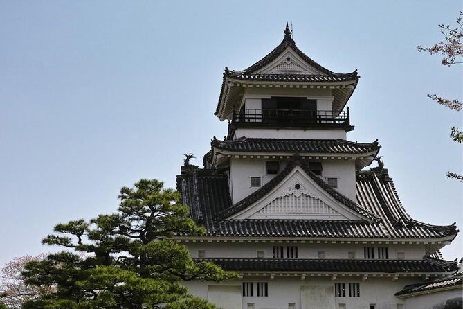 Experience the energy of Kochi: Sunday Market Tour includes Kochi Castle - Key Points