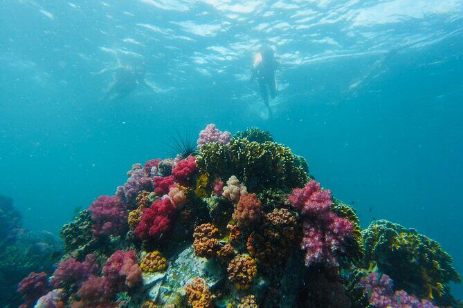 Experience the Koh Lipe Frontier in the Eastern Adang Archipelago - Practical Considerations