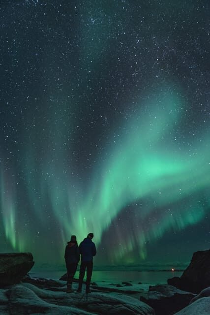 Experience the Magic of the Northern Lights in Lofoten! - The Sum Up