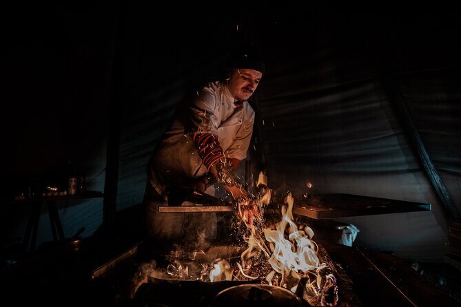 Experience the majestic Auroras Kiruna-Abisko & lodge dinner - Detailed Review of the Experience