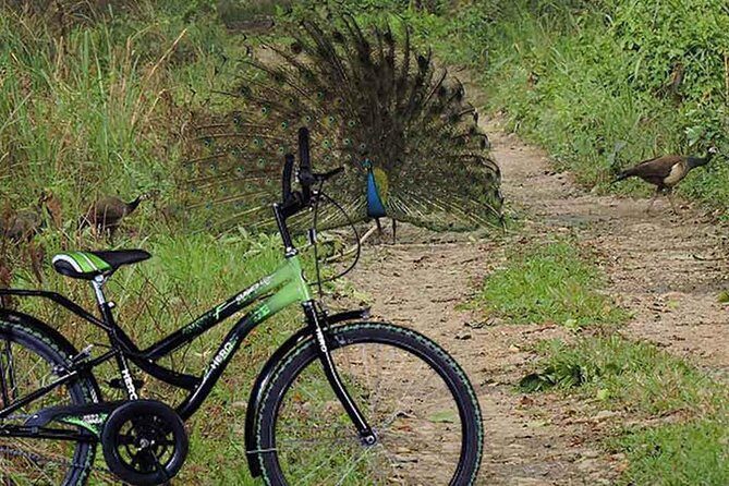 Experience the ride in Lowlands of Nepal - Key Points