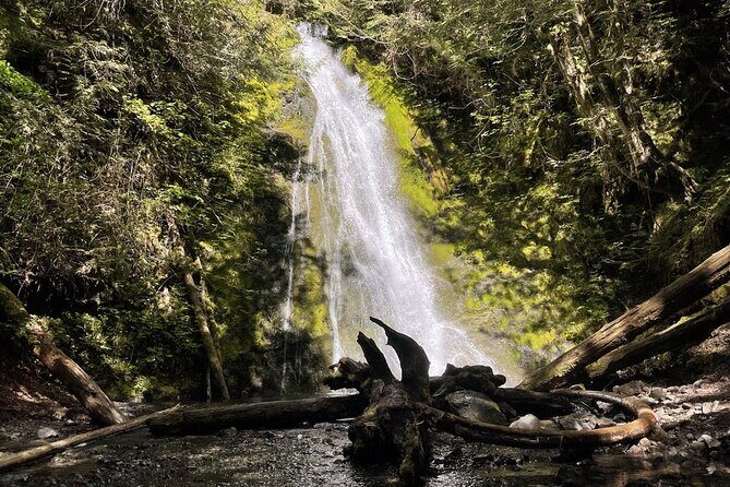 Experience the Spectacular Beauty of the Olympic Peninsula - What You’ll Love About This Tour