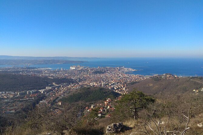 Experience Trieste - Final Summary