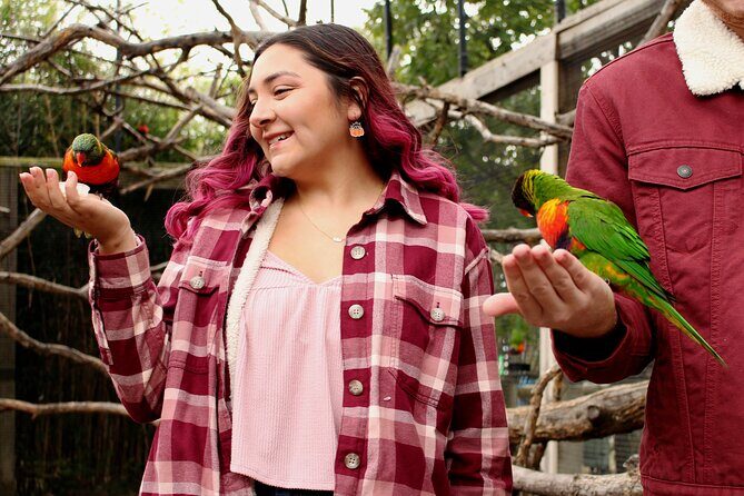 Experience Weekend at Tanganyika Wildlife Park - Final Thoughts: Is It Worth It?