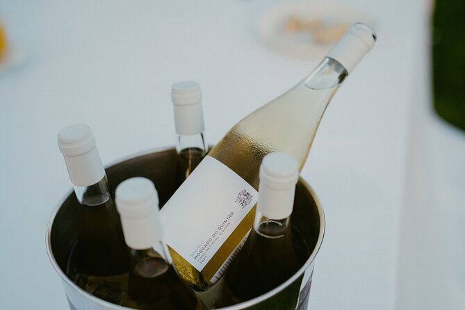 Experience Wine Break in Portugal - A Closer Look at the Experience