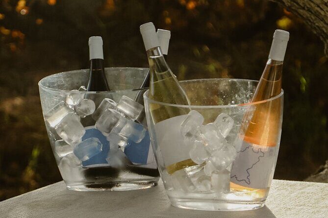 Experience Wine Break in Portugal - Authenticity & Customer Perspectives