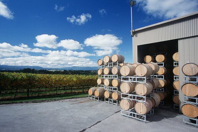Experience Yarra Valley: A Tailored private Wine Journey - The Sum Up