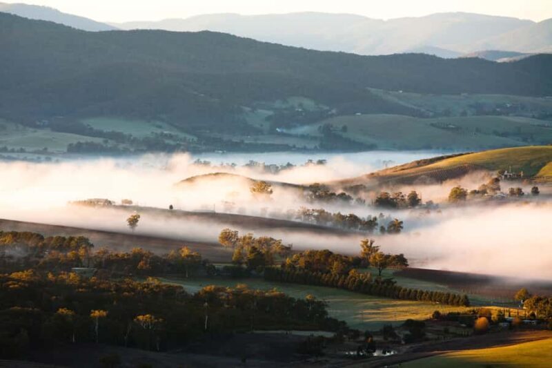 Experience Yarra Valley: A Tailored private Wine Journey - Why This Tour Stands Out