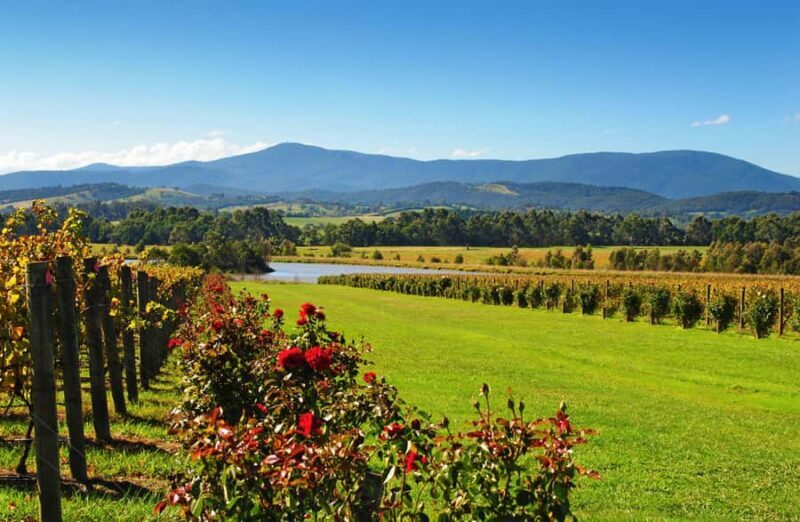 Experience Yarra Valley: A Tailored private Wine Journey - Final Thoughts