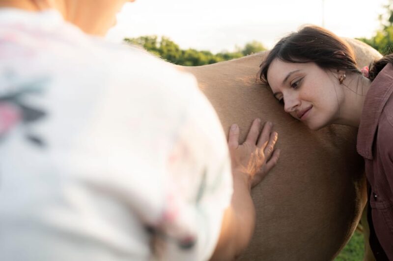 Experiential activity with horses: an experience in connection - Key Points