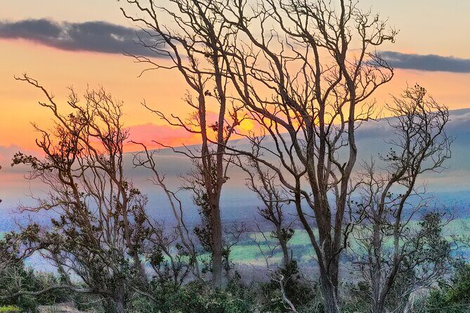 Expert Led Private Guided Tour Hawaii Volcanoes National Park - Analyzing the Value