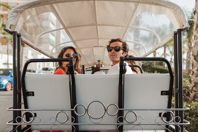 Expert Tour of Malaga in Private Eco Tuk Tuk - Who Is This Tour Perfect For?