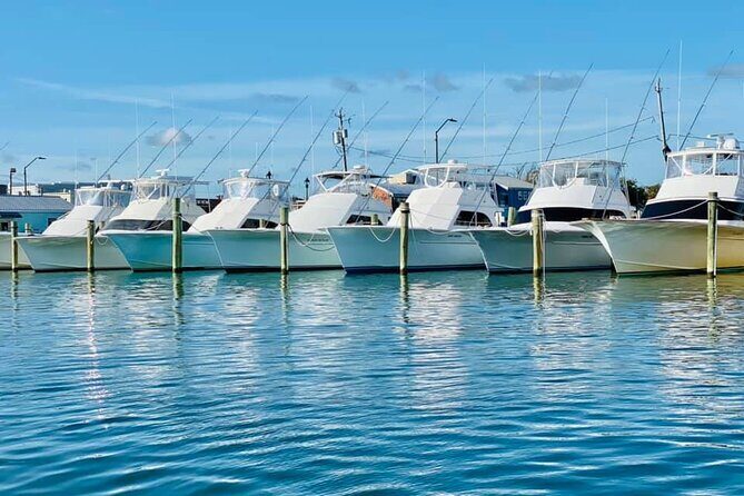 Exploration of Majestic Crystal Coast - The Details of the Crystal Coast Tour