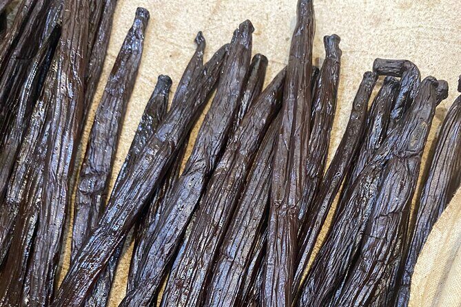 Exploration, Taha'a Lagoon Tour by Private Boat - Who Will Love This Tour?