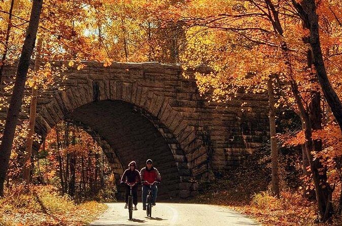 Explore Acadia with Ease Premium E-bike Rentals and Free Delivery - The Sum Up