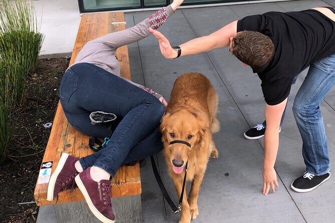 Explore Anaheim with a Unique Scavenger Hunt by Wacky Walks - FAQs