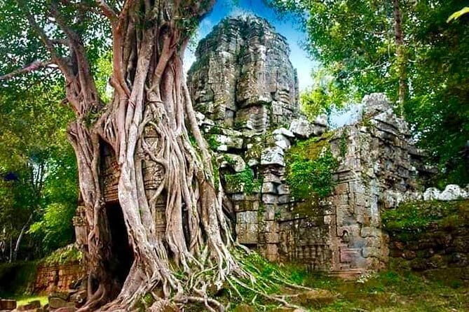 Explore Angkor Wat With TukTuk Tour - Why You’ll Love This Tour