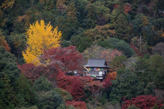 Explore Arashiyama Bamboo Forest with Authentic Zen Experience - An In-Depth Look at the Experience