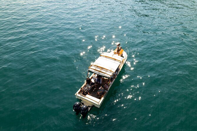 Explore Banderas Bay: Exclusive Boat Journies - Discovering Banderas Bay: A Closer Look