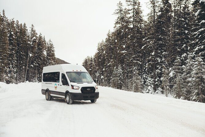 Explore Banff + Wildlife - Who Will Love This Tour?