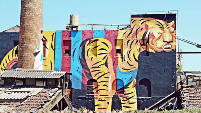 Explore Barcelona with a bicycle builder - Discovering Hidden Gems and Local Stories