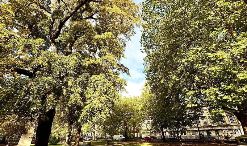 Explore Bath in Spanish: With Olga, local guide - The Experience from Visitors Perspectives