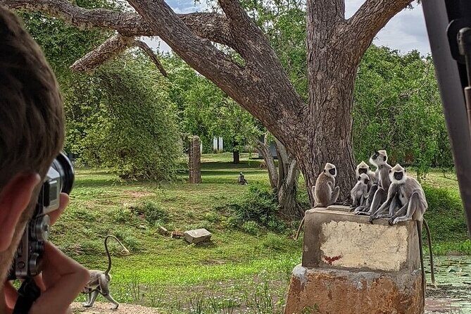 Explore Beauty Of Yala (Ruhuna) National Park From South Coast in One Day. - The Itinerary Breakdown: What to Expect