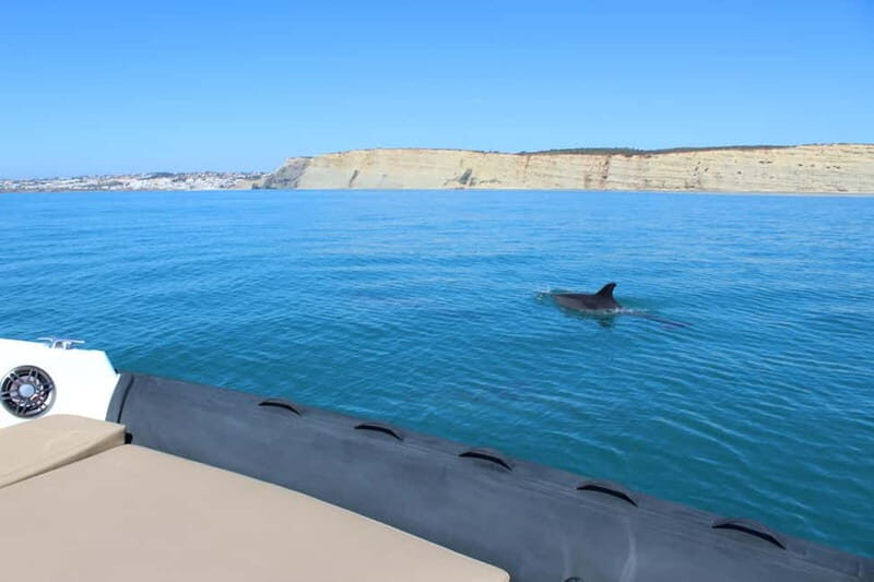 Explore Benagil, Ponta da Piedade and Dolphins in Algarve - FAQ