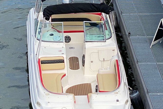 Explore Bird & Marine Wildlife private Boat Tour in English - Who Would Love This Tour?