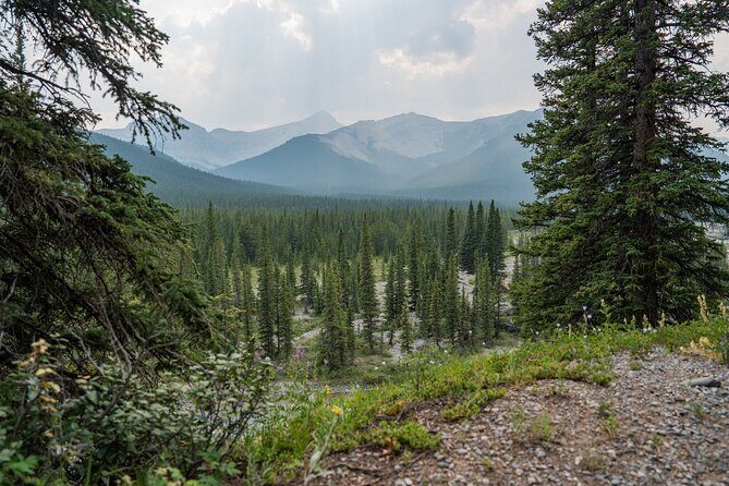 EXPLORE Canmore's HIDDEN Trails and Local Landmarks - 3H Hike - Practical Details and Tips