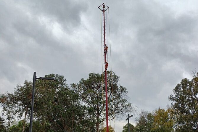 Explore Chapultepec & Mexico City sights by Bike - Final Thoughts