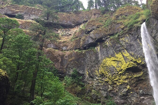 Explore Columbia River Gorge Half-Day Small-Group Hiking Tour - Key Points