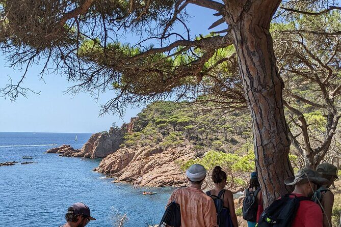 Explore Costa Brava & Tossa de Mar Coastal Trails, Snorkel & Meal - Who Should Book This Tour?