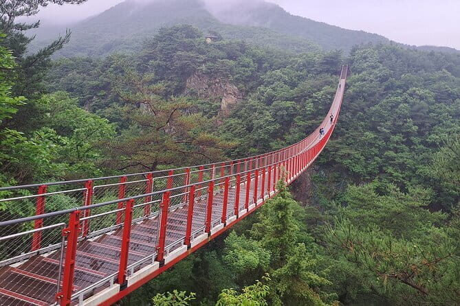 Explore DMZ from Seoul with Gondola and Suspension Bridge Option - A detailed look at the DMZ tour experience