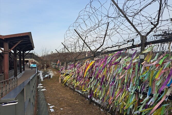 Explore DMZ from Seoul with Gondola and Suspension Bridge Option - Practical considerations and tips